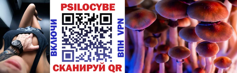 Галлюциногенные грибы Psilocybe  Купить закладки  Ступино 
